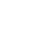 SIP calls Icon