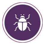 purple bug clipart